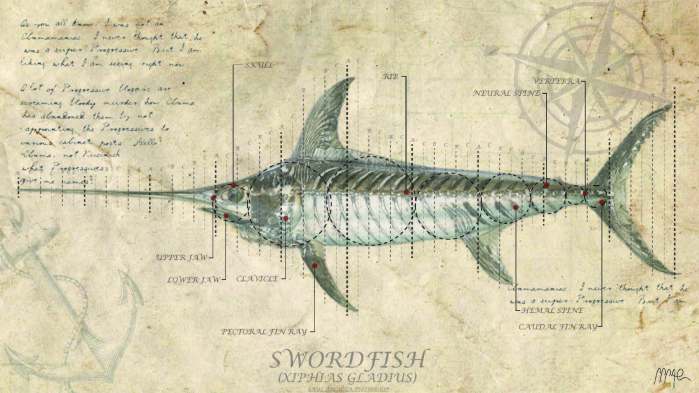 Swordfish Study Final