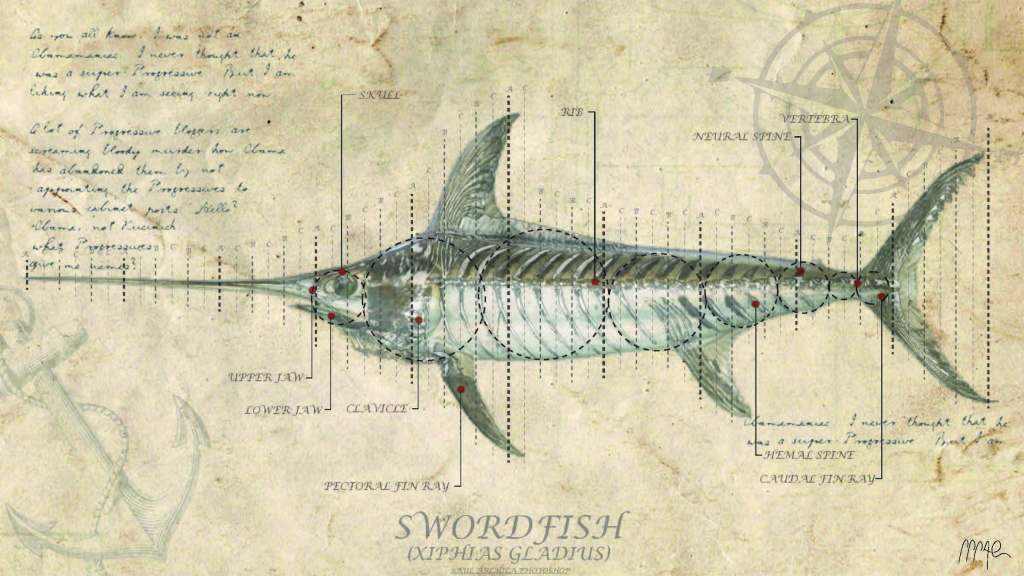 SWORDFISH FISH ANALYSIS