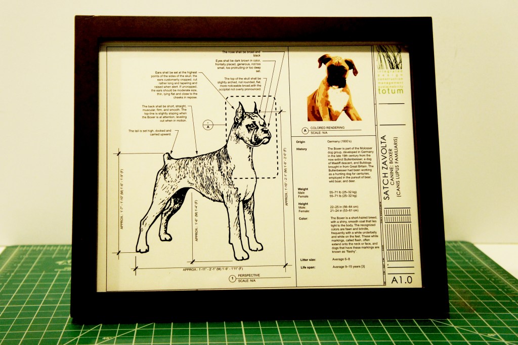 BOXER DOG CUSTOM BLUEPRINT FRAMED PHOTO