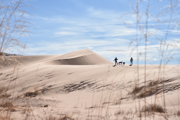 Pink Sand Dunes Utah –&nbsp;Photography